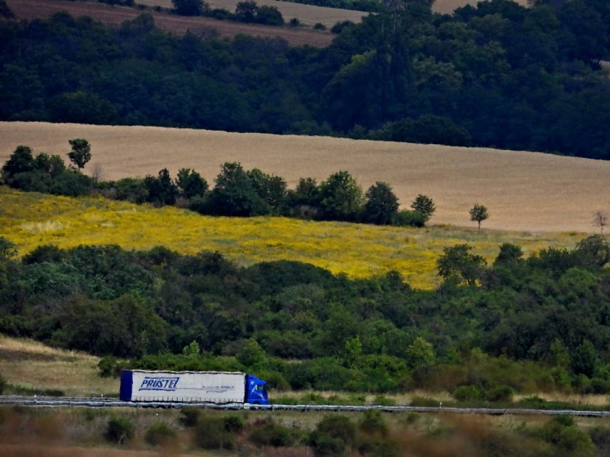 Peter Blei unterwegs im Sonnenblumenfeld