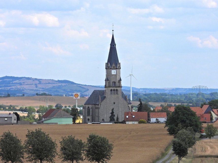 Peter Blei unterwegs im Sonnenblumenfeld