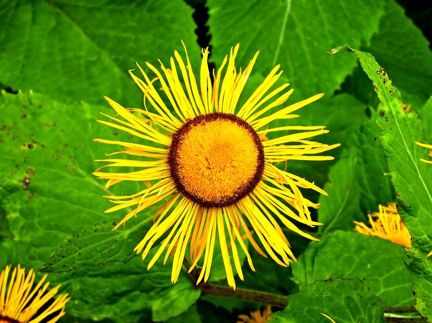 Peter Blei unterwegs an der Kalkh&uuml;tte