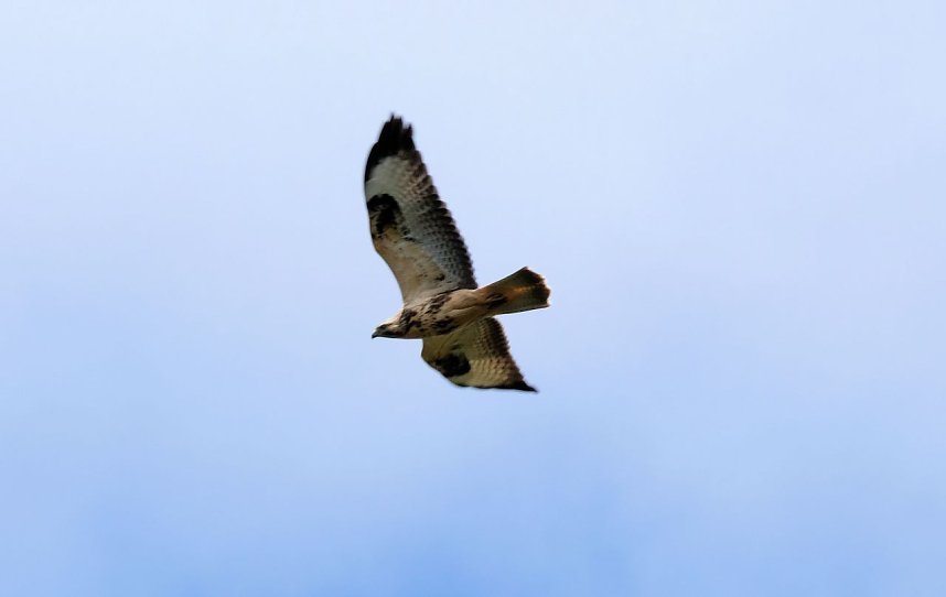 Peter Blei unterwegs an der Kalkh&uuml;tte