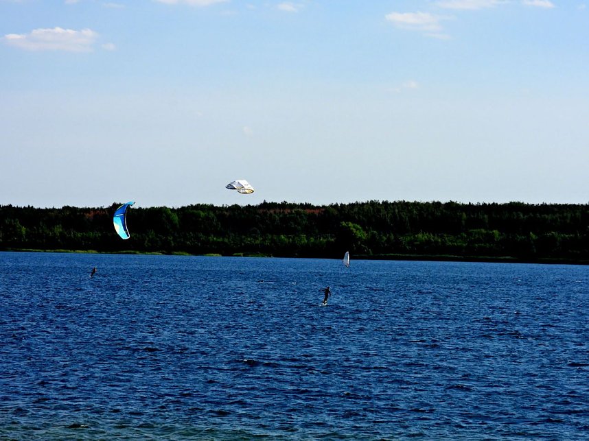 Peter Blei unterwegs am Seelhausener See