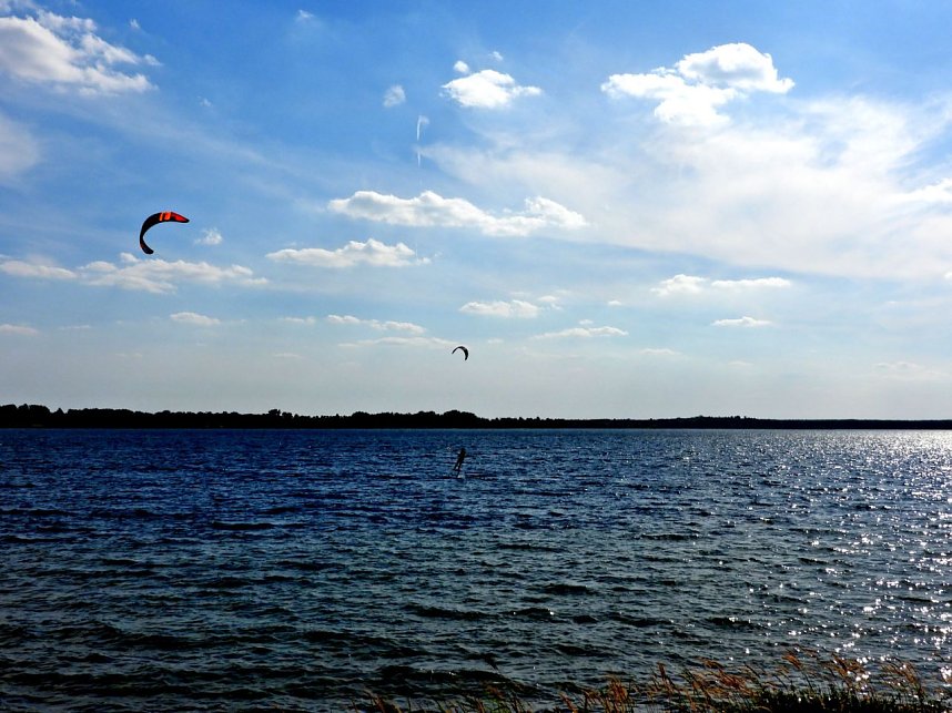 Peter Blei unterwegs am Seelhausener See