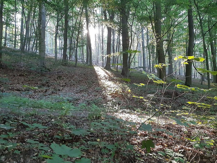 Sommerferienspiele 2020 des Jugendsozialwerks