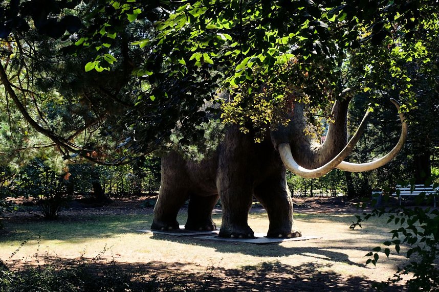 Park des Kunsthauses Meyenburg
