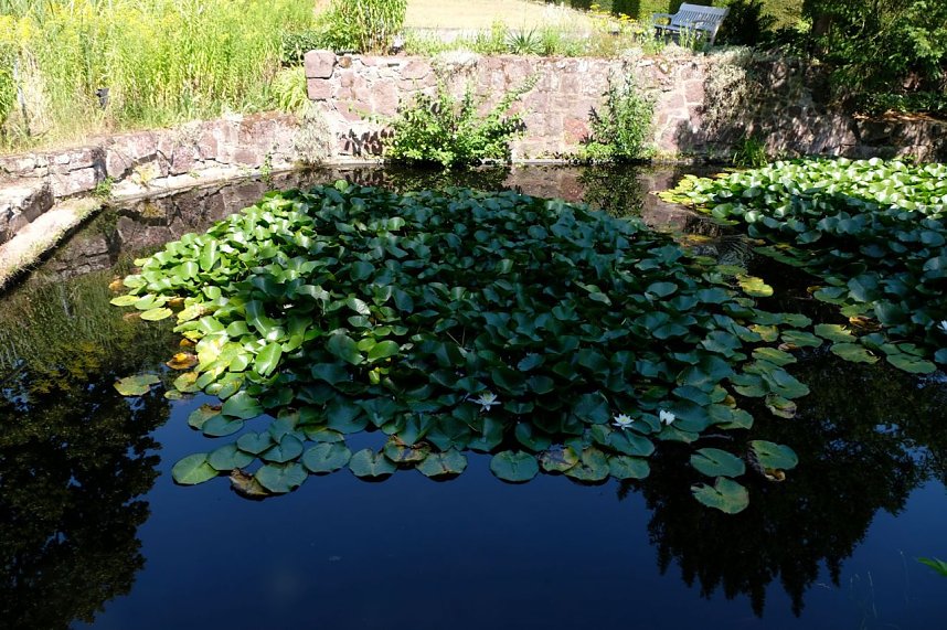 Park des Kunsthauses Meyenburg