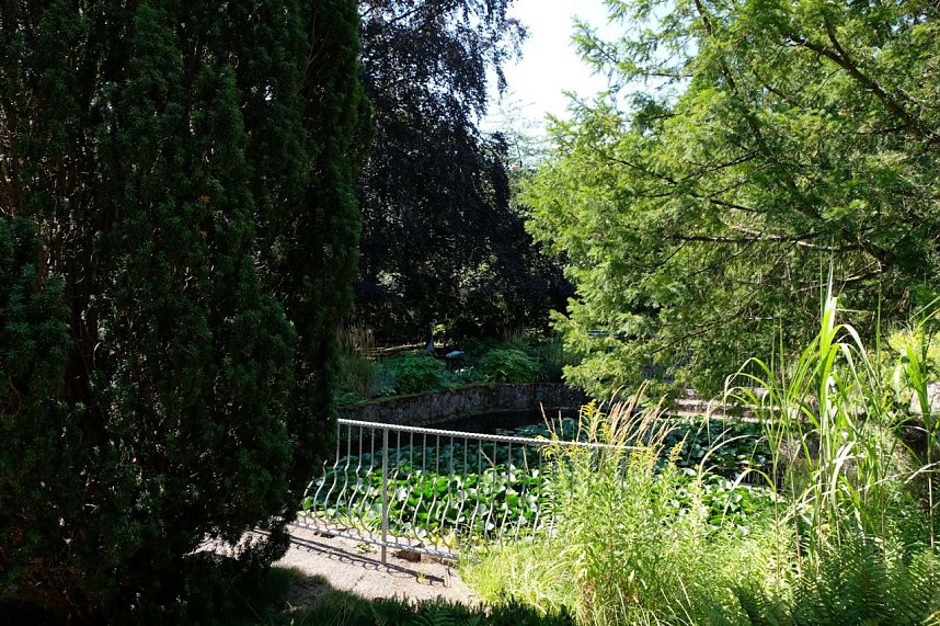 Park des Kunsthauses Meyenburg