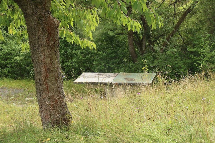 Was passiert im einst so sch&ouml;nen Teichtal bei Hainrode?