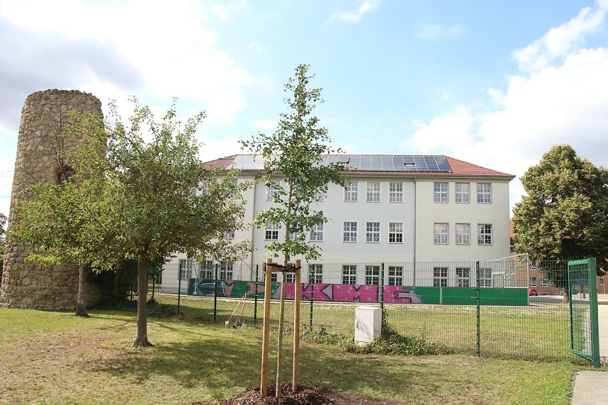 Baumpflanzung am Weltfriedenstag