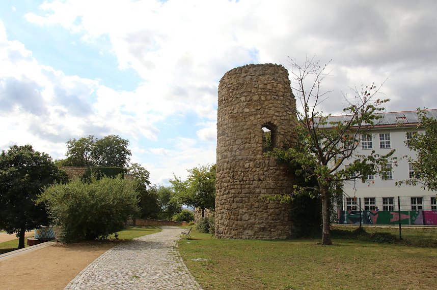 Baumpflanzung am Weltfriedenstag
