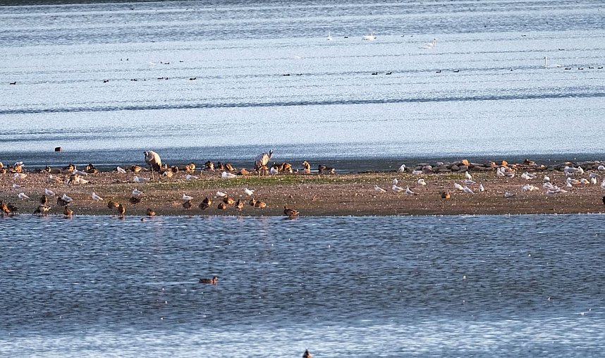 Peter Blei am Stausee Kelbra