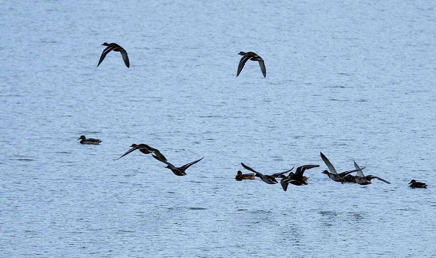 Peter Blei am Stausee Kelbra