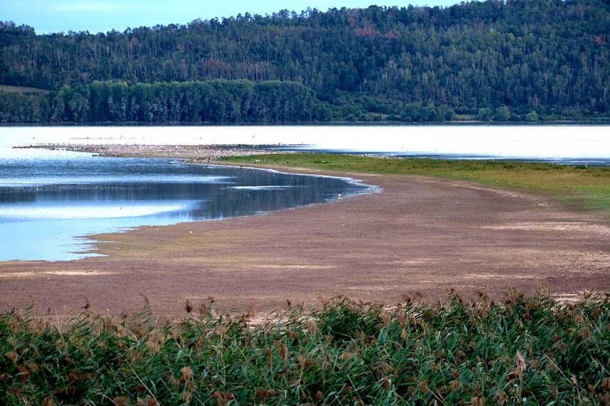 Peter Blei am Stausee Kelbra