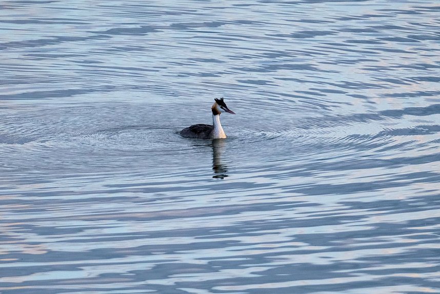 Peter Blei am Stausee Kelbra