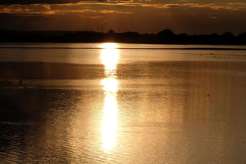 Peter Blei am Stausee Kelbra