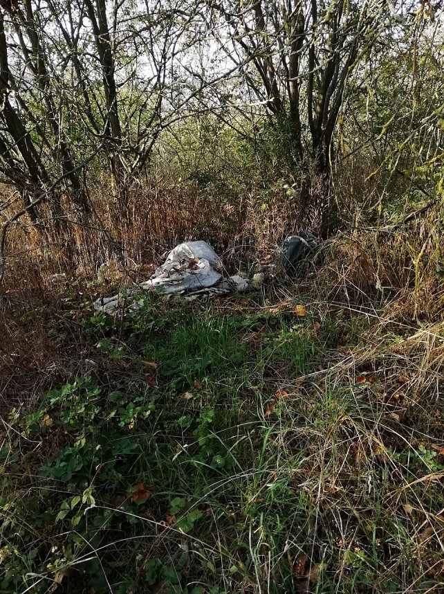 Illegale M&uuml;llentsorgung