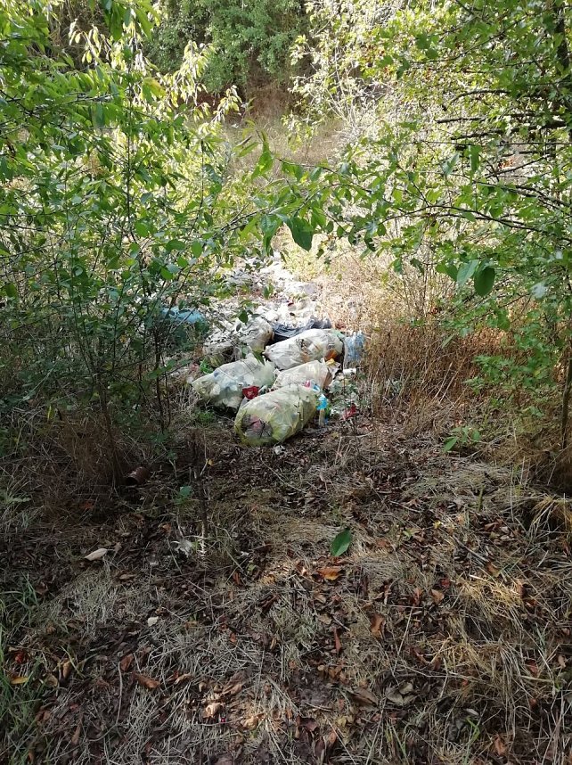 Illegale M&uuml;llentsorgung