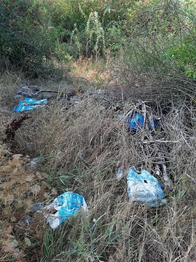 Illegale M&uuml;llentsorgung