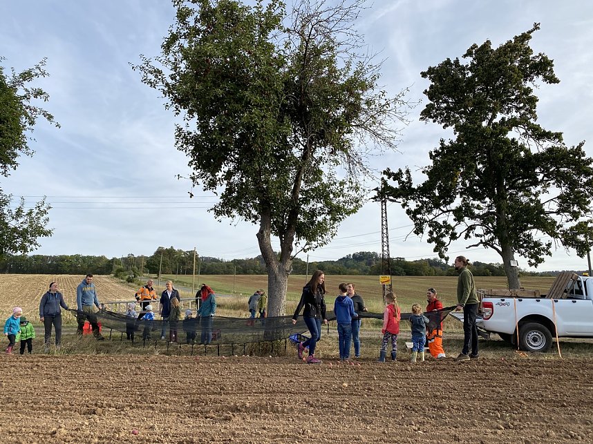 Apfelpfl&uuml;cken in Harztor