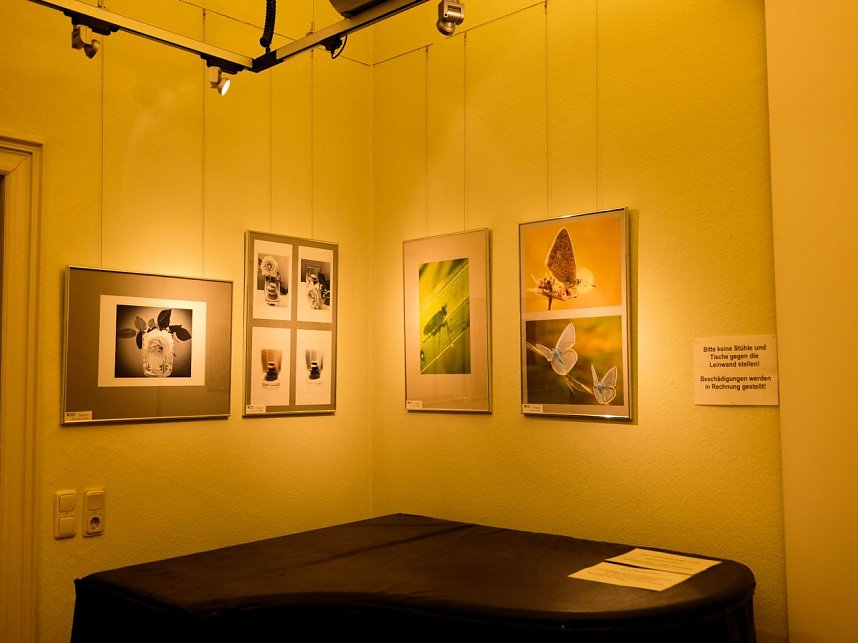 Der Fotoclub stellt im Thomas-Mann Club seine Lieblingsbilder aus