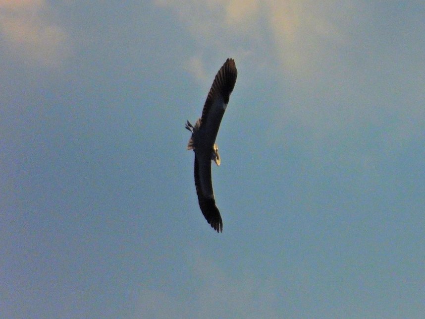 Peter Blei unterwegs am Stausee Kelbra