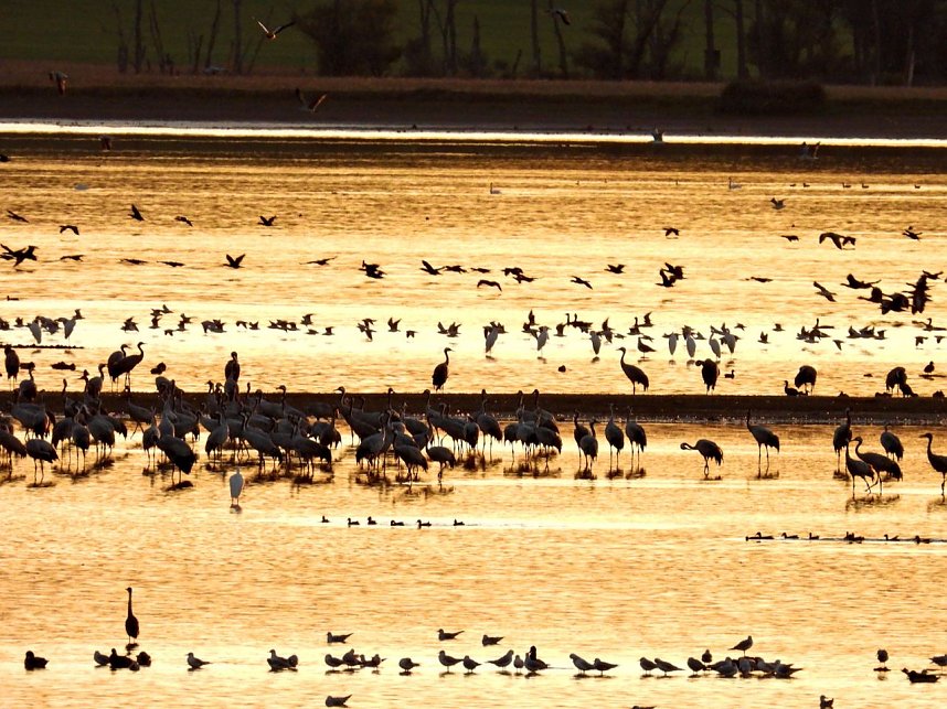 Peter Blei unterwegs am Stausee Kelbra