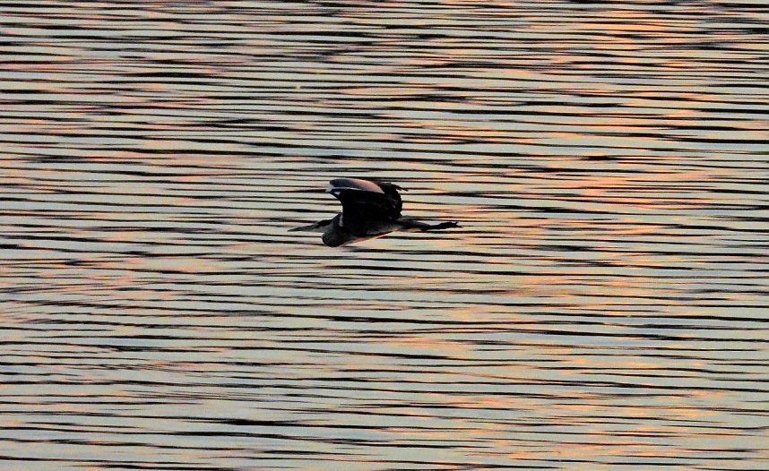 Peter Blei unterwegs am Stausee Kelbra