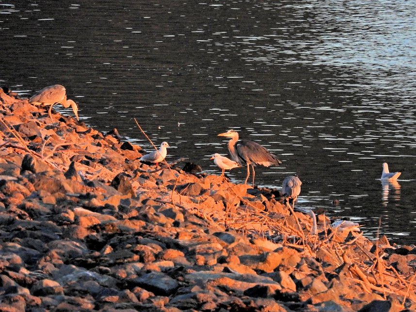 Peter Blei unterwegs am Stausee Kelbra