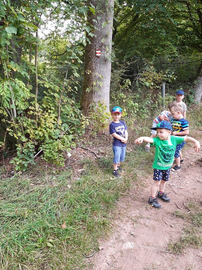 Ein toller Tag im Kindergarten