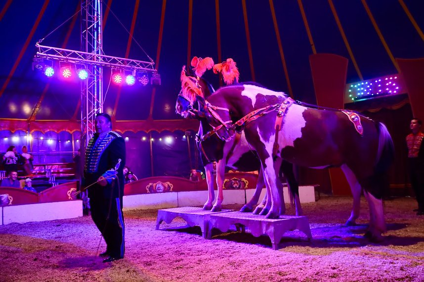 Circus Atlantik am Scheunenhof