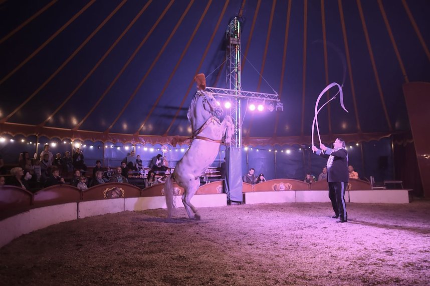 Circus Atlantik am Scheunenhof