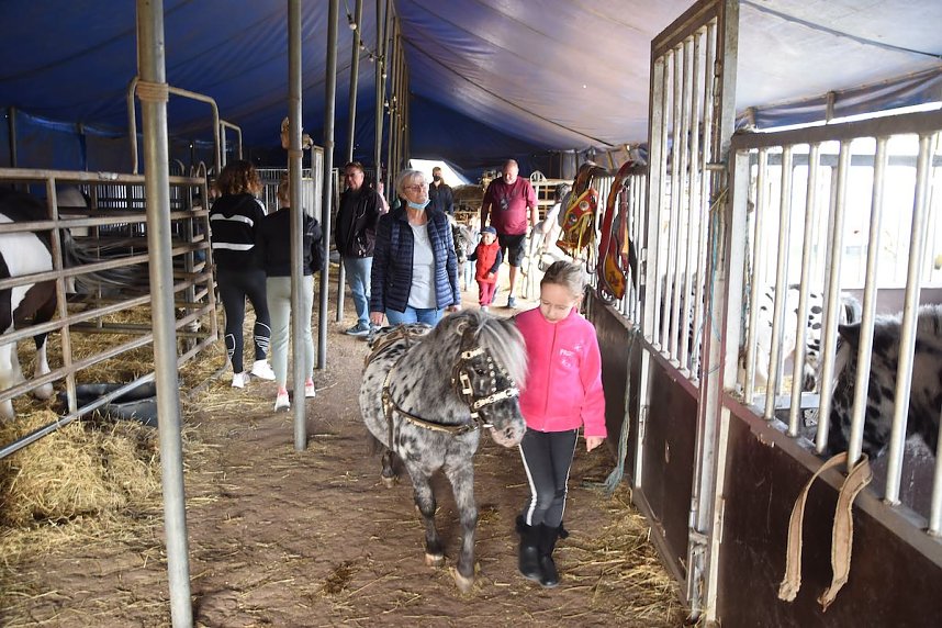 Circus Atlantik am Scheunenhof