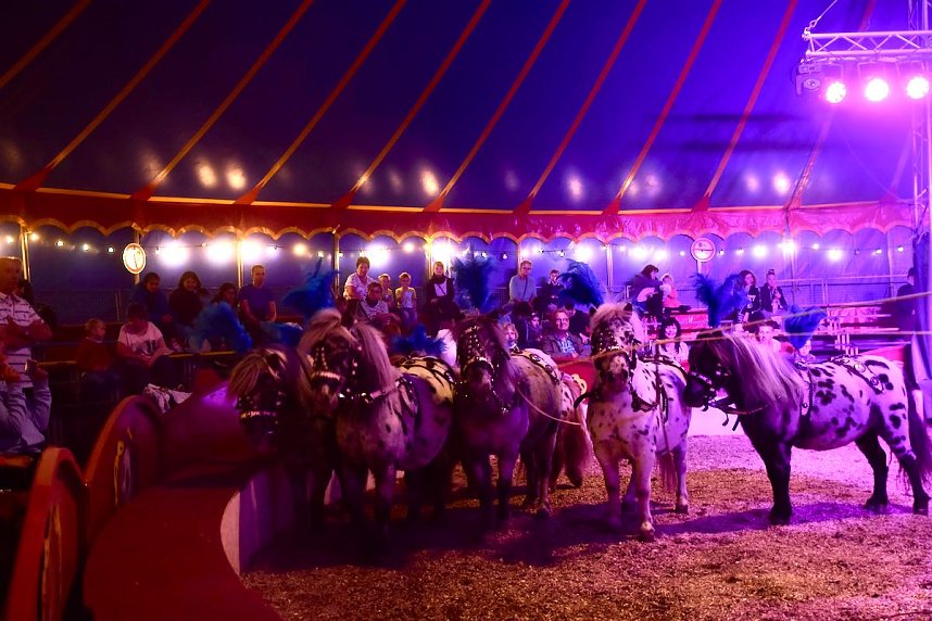 Circus Atlantik am Scheunenhof