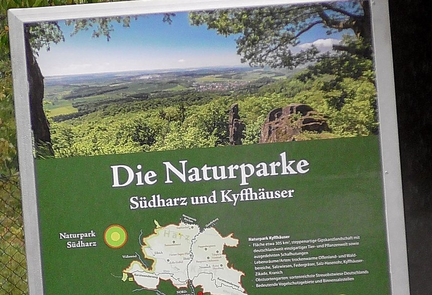 Kranichf&uuml;hrung am Stausee Kelbra