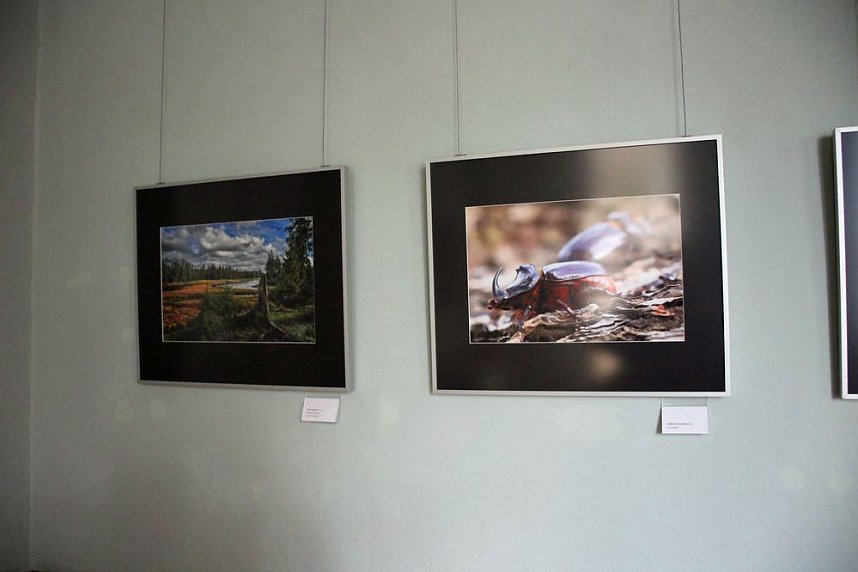 Landesfotoschau Th&uuml;ringen in Sondershausen zu Gast