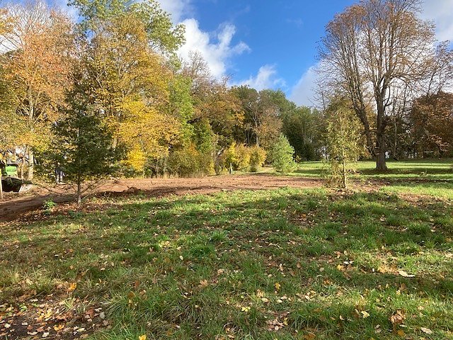 Aufr&auml;umarbeiten mit schwerem Ger&auml;t im Park Hohenrode