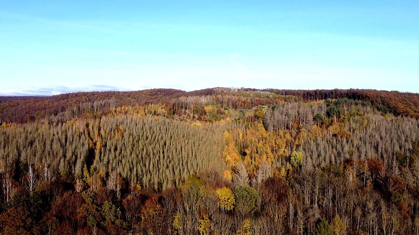 Peter Blei unterwegs im S&uuml;dharz