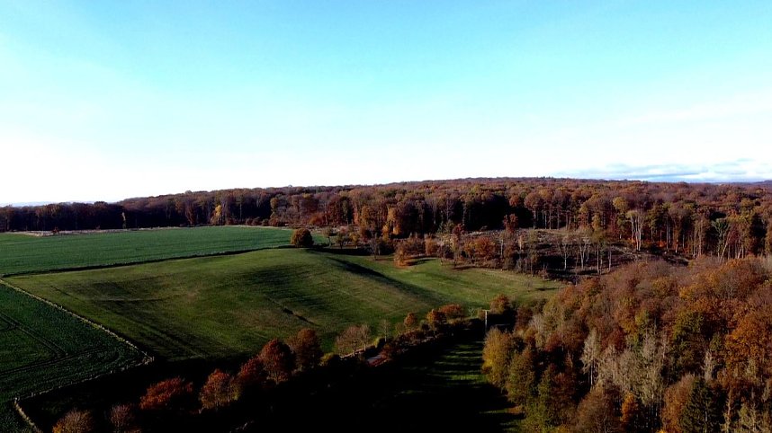 Peter Blei unterwegs im S&uuml;dharz