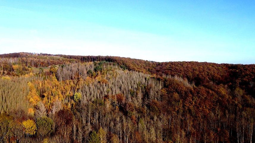 Peter Blei unterwegs im S&uuml;dharz