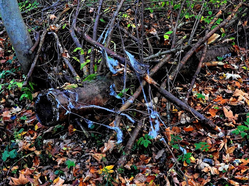 Peter Blei unterwegs im S&uuml;dharz