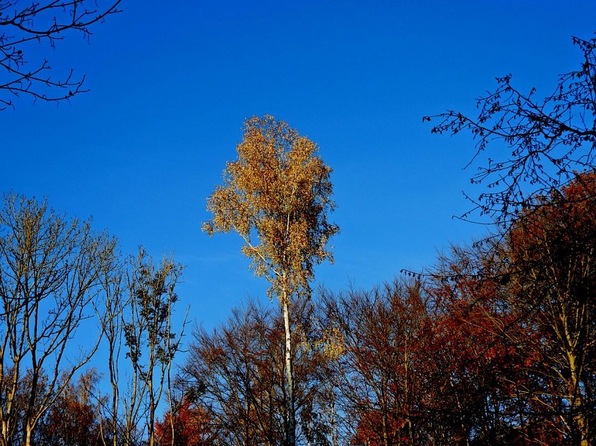 Peter Blei unterwegs im S&uuml;dharz