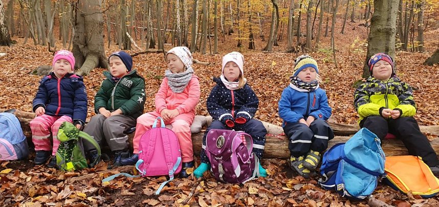 Kleine Spatzen erleben den Wald