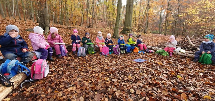 Kleine Spatzen erleben den Wald
