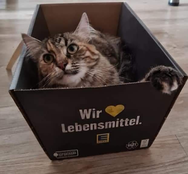 Hilfe f&uuml;r &uuml;ber 40 Tiere - Tierschutz Nordhausen bedankt sich bei Unterst&uuml;tzern