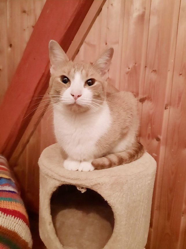 Hilfe f&uuml;r &uuml;ber 40 Tiere - Tierschutz Nordhausen bedankt sich bei Unterst&uuml;tzern