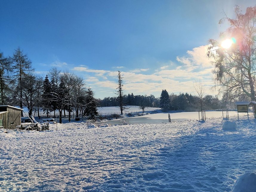 Winterliche Harzimpressionen