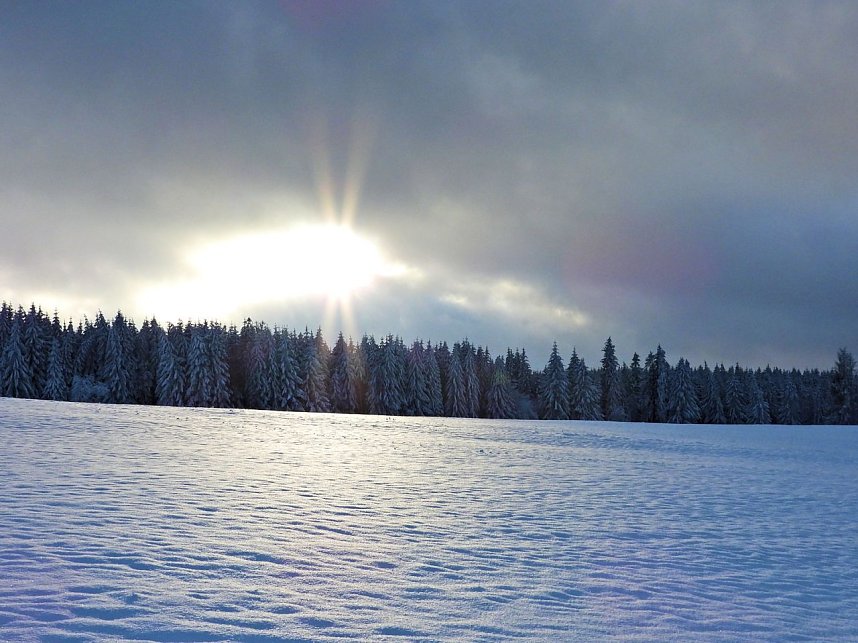 Winterliche Harzimpressionen