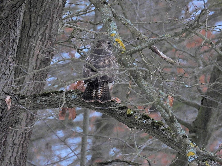 Peter Blei unterwegs bei Steigerthal