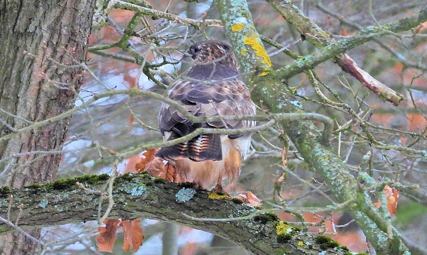 Peter Blei unterwegs bei Steigerthal