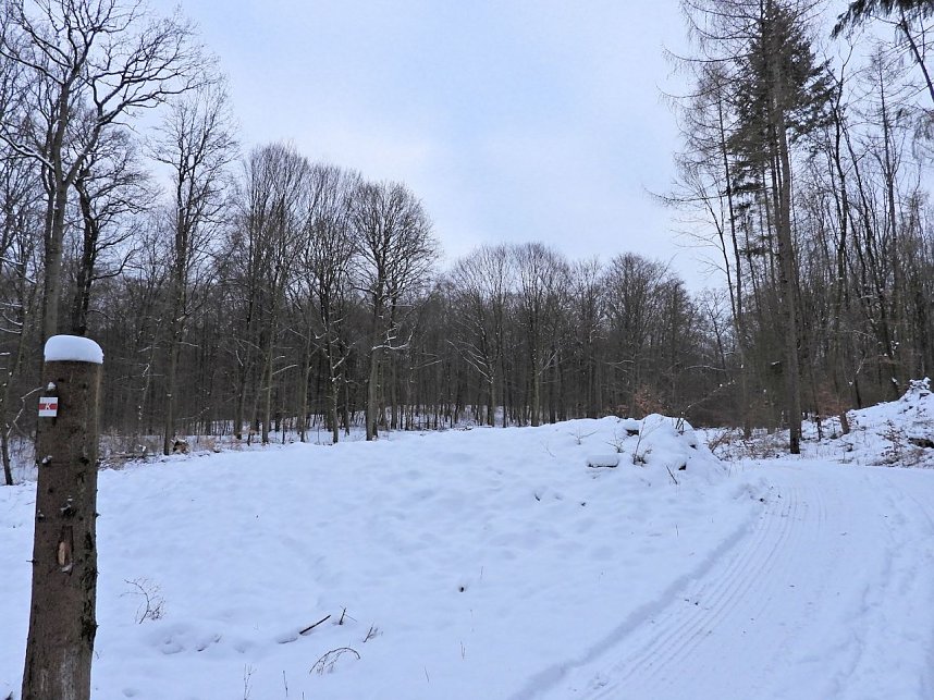 Peter Blei unterwegs bei Steigerthal