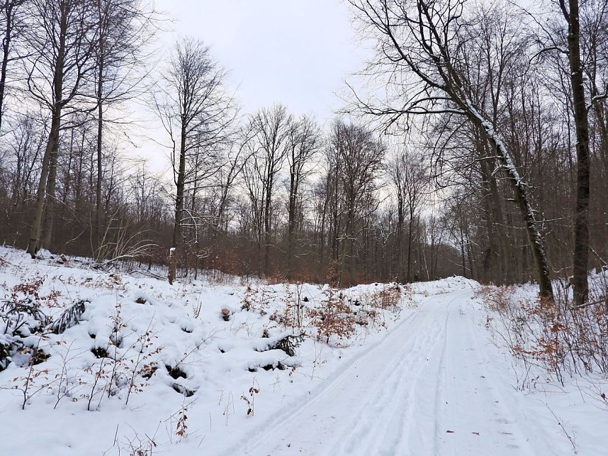 Peter Blei unterwegs bei Steigerthal